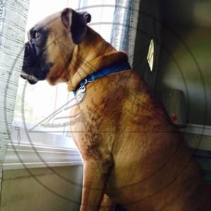 Meet your Posher, John